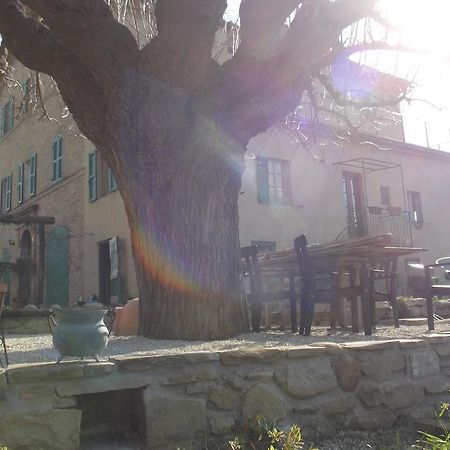 B&B Reillys Montecarotto Εξωτερικό φωτογραφία