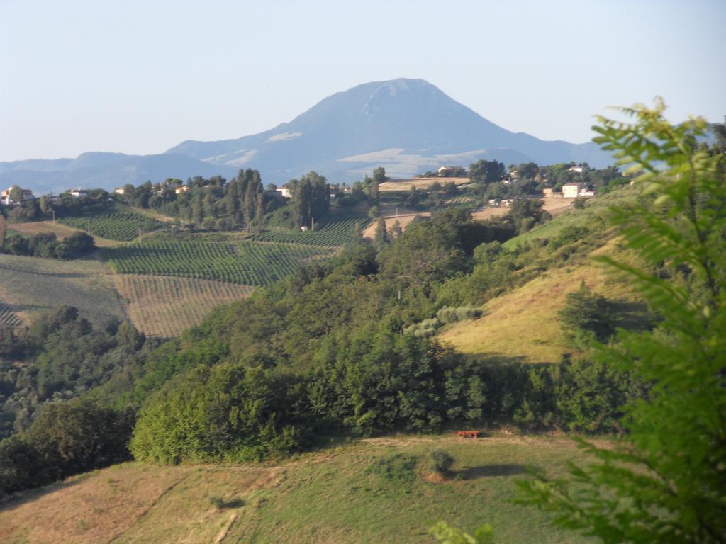 B&B Reillys Montecarotto Εξωτερικό φωτογραφία