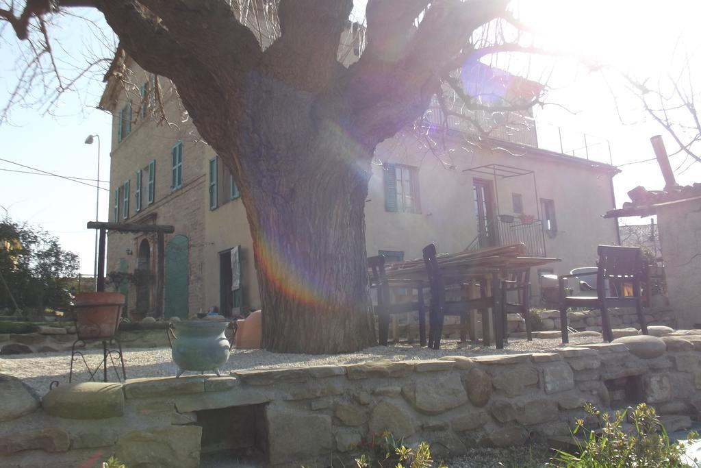 B&B Reillys Montecarotto Εξωτερικό φωτογραφία